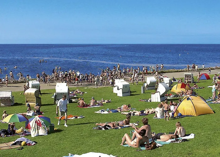 Watt In Friedrichskoog-spitze By Interhome